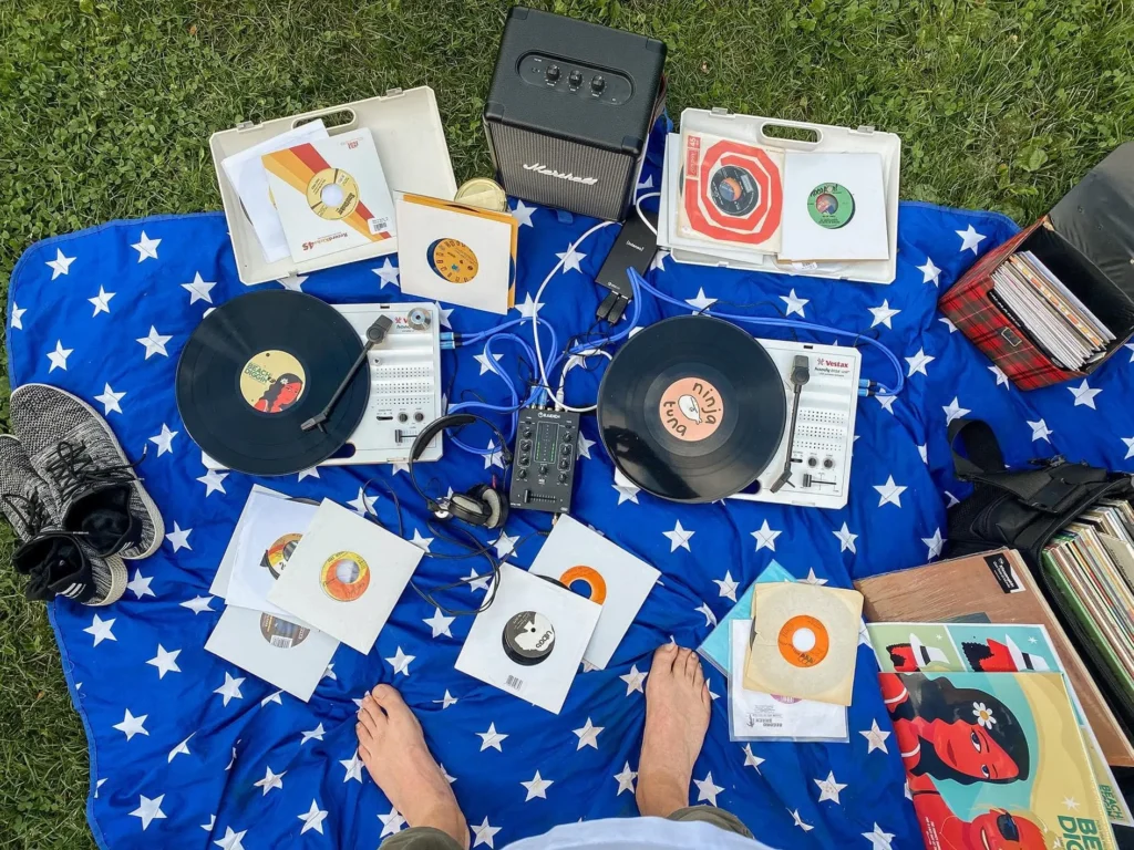 Vinyl Picnic